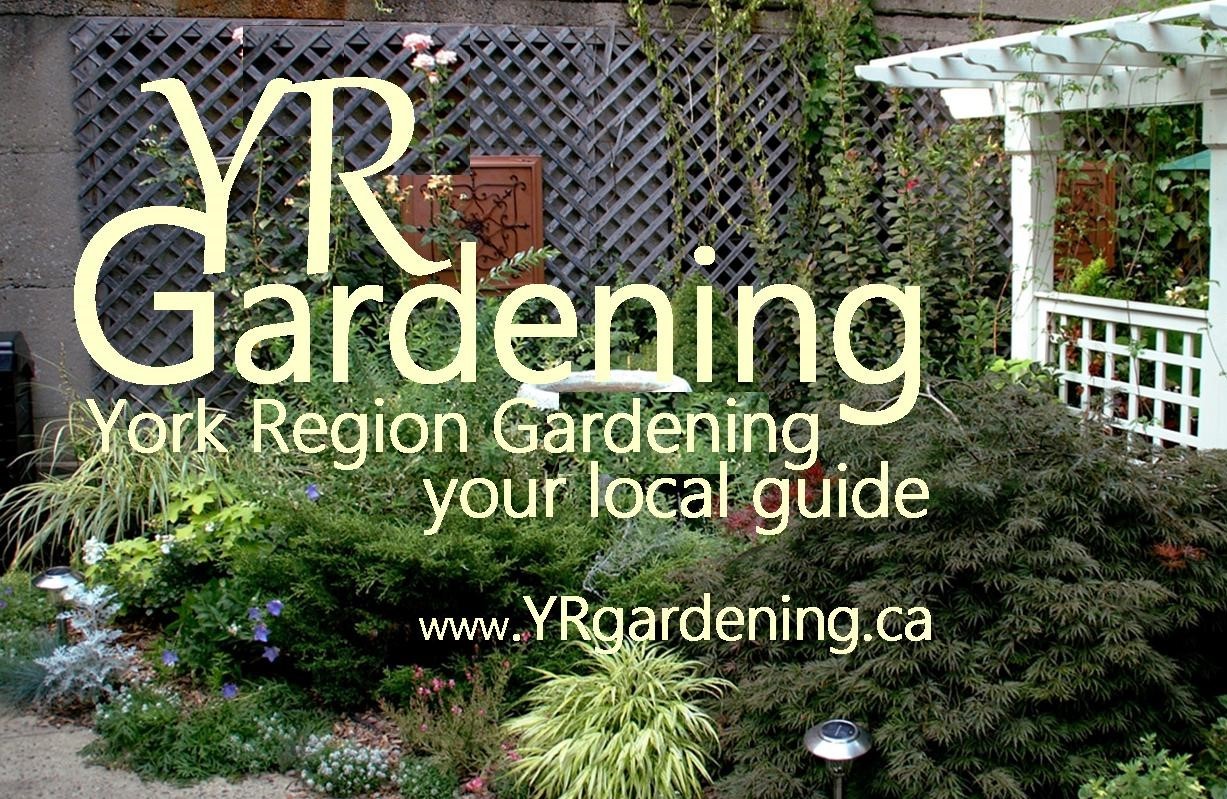 Logo.  York Region Gardening.ca  Loads of articles on gardening in our zone 4 cold-ish climate.  Evelyn Wolf 