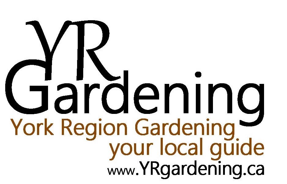 advertise with YRGardening.ca to reach your target audience. 